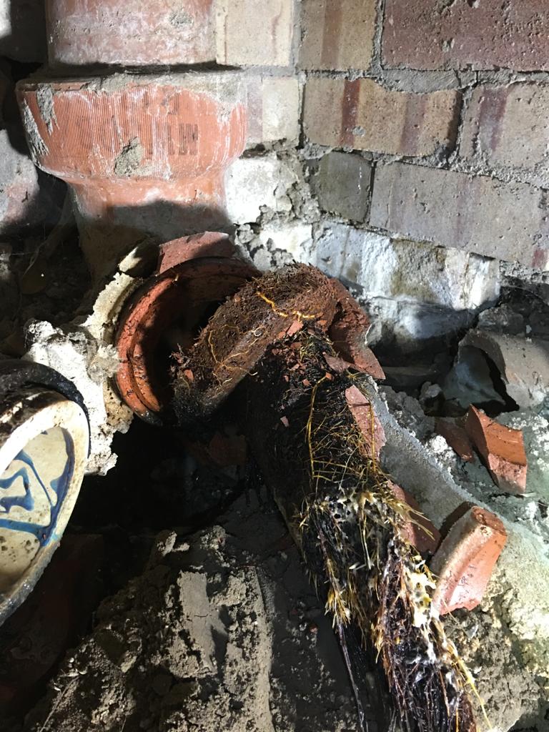 7 Ways to Clear a Blocked Drain Revolution Pipe Relining