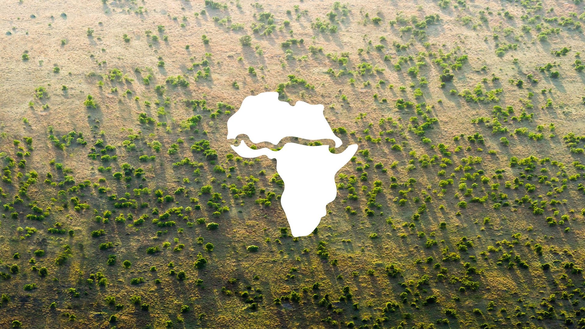 The Great Green Wall REVOLVE