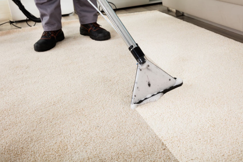 Rug Wash Why You Should Not Clean Rugs at Home? Revolve House