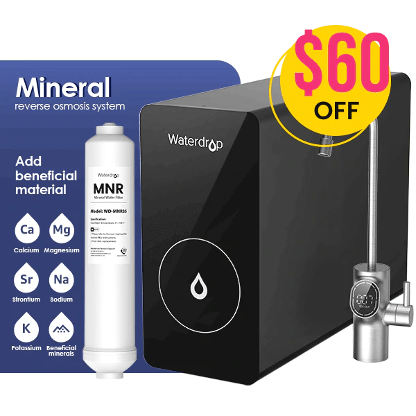 600GPD Remineralization Reverse Osmosis System RevOsmo