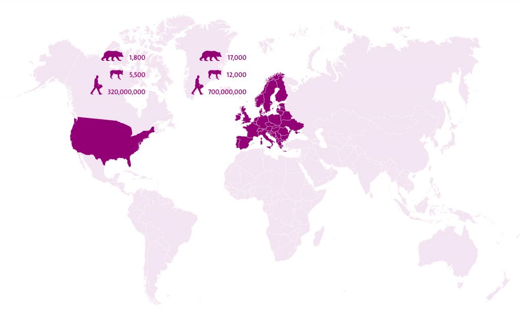 Wolf Rewilding Europe