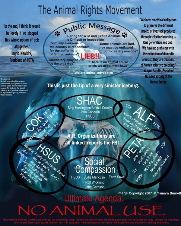 The Animal Rights Movement