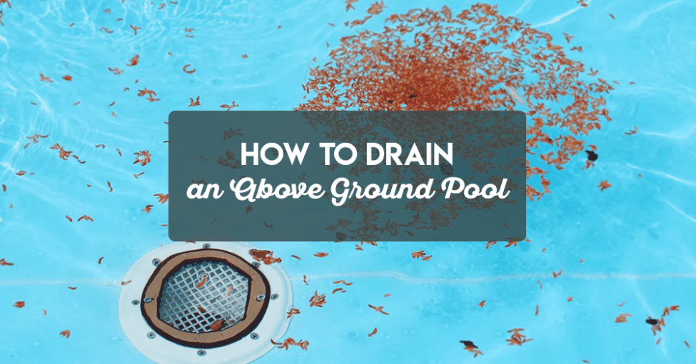 How To Drain An Above-Ground Pool | The Rex Garden