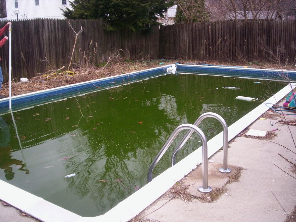 How Much Does A Pool Cover Cost? The Rex Garden