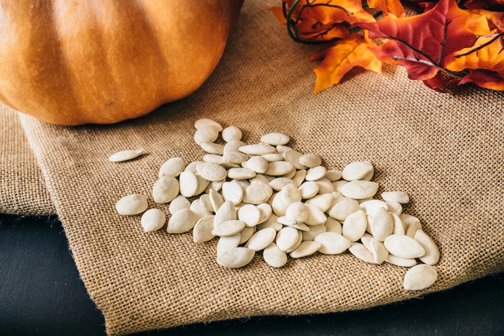 Are Pumpkin Seeds Good for Dogs? RexiPets