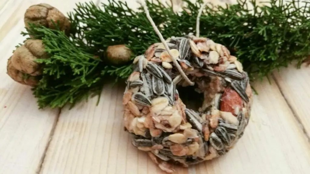 Vogelfutter aus der Küche, Meisenknödel und Futterring selbst herstellen