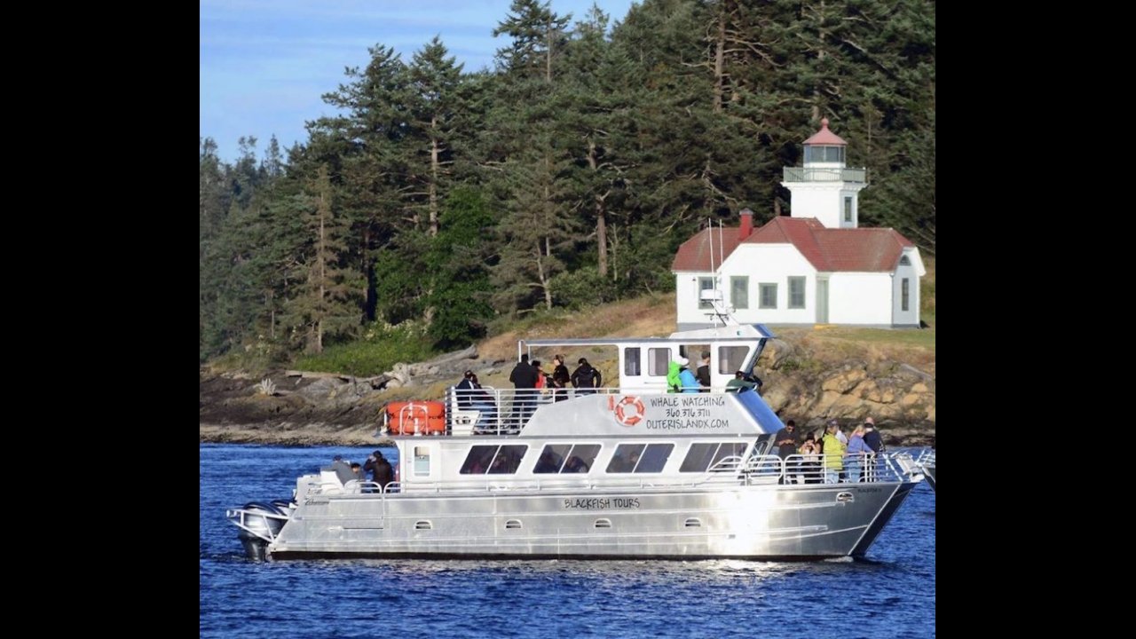 Outer Island Excursions Book Now