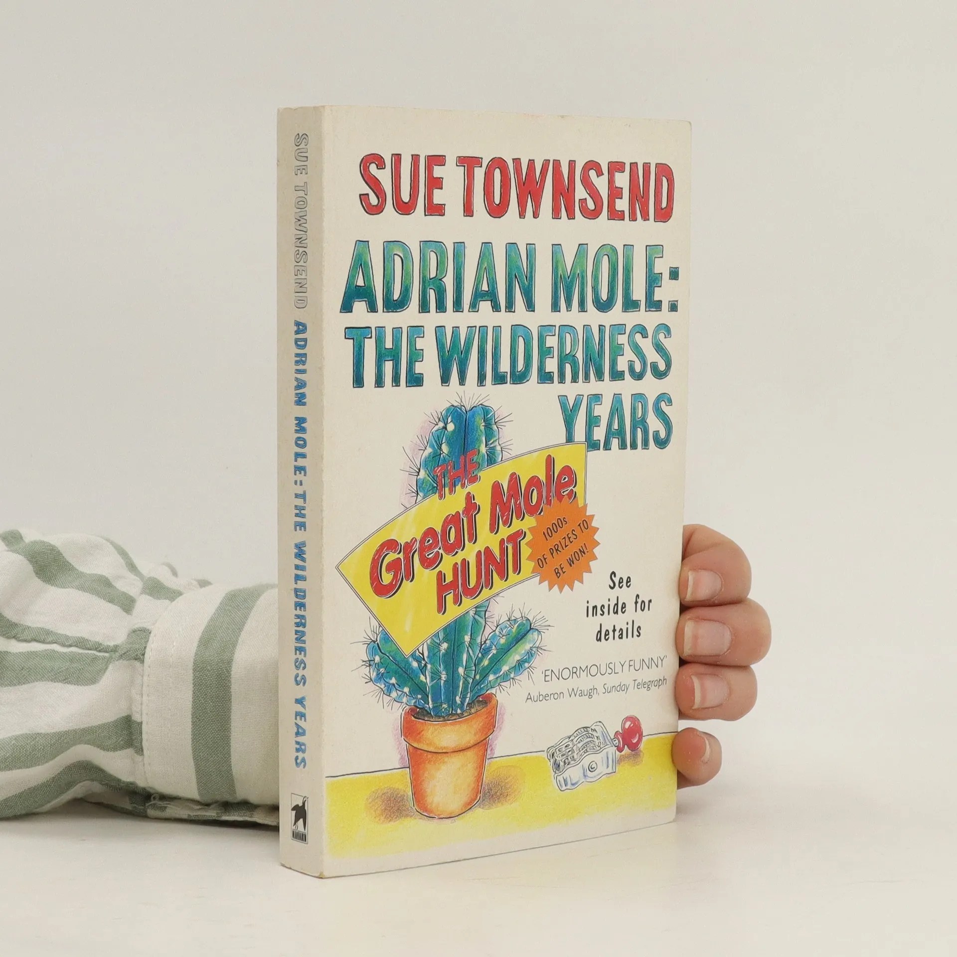Adrian Mole The Wilderness Years Sue Townsend knihobot.cz
