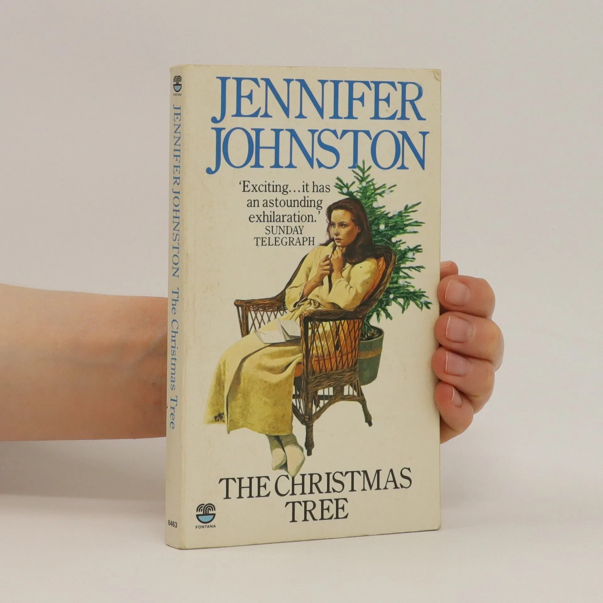 The Christmas tree Jennifer Johnston knihobot.cz