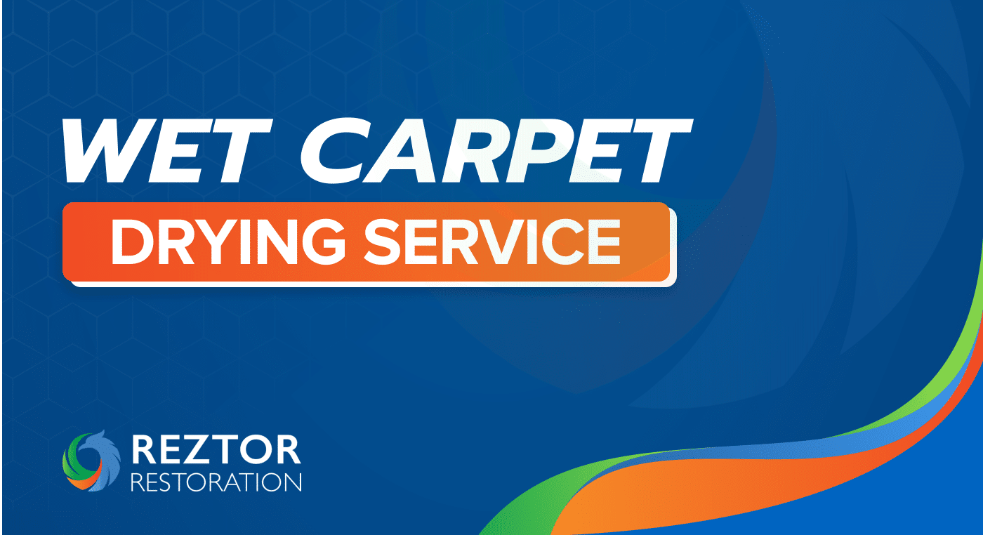 Emergency Wet Carpet Drying Services Reztor Restoration