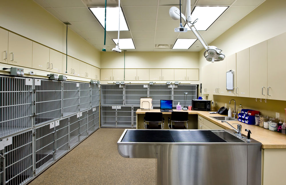 RFA Veterinary Orthopedic Sports Medicine Group Ellicott City, MD