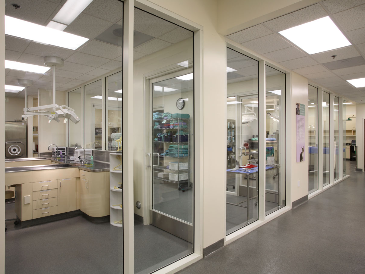 RFA California Veterinary Specialists Carlsbad, CA