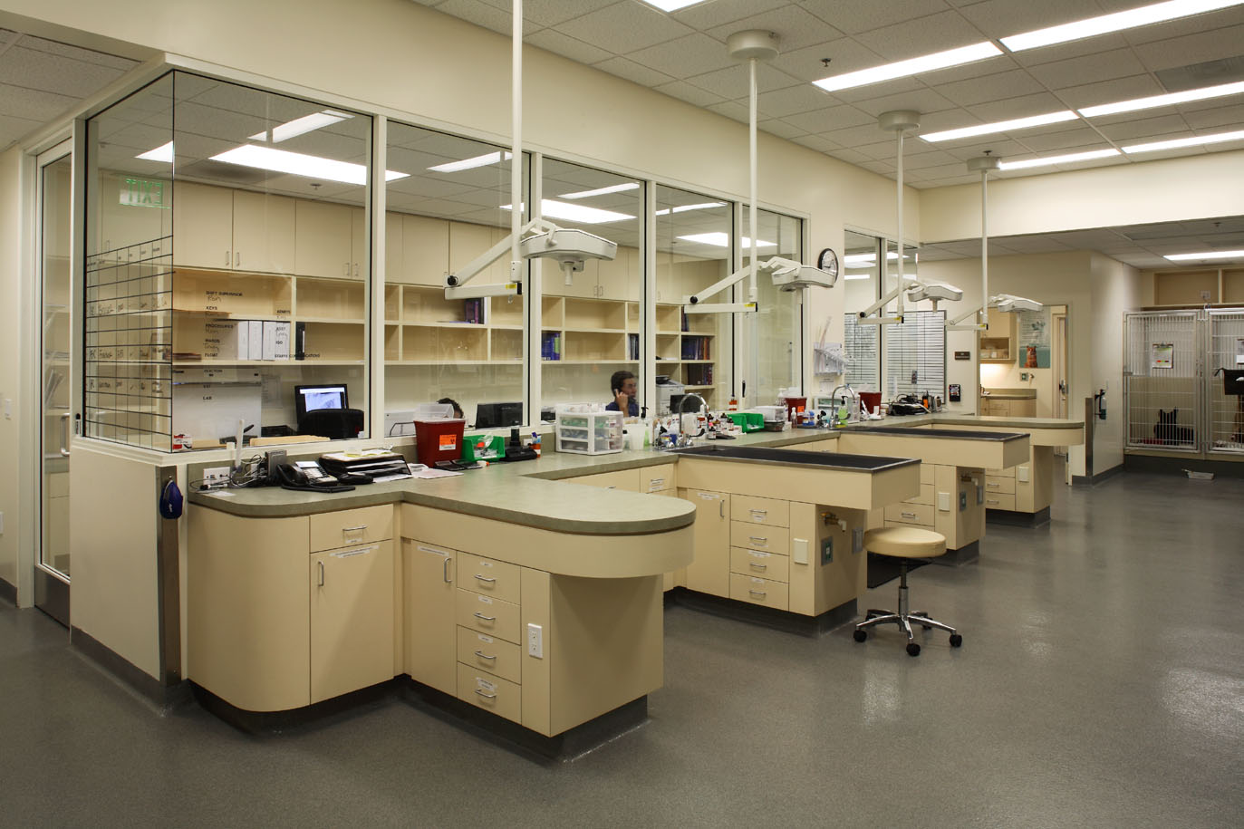 RFA California Veterinary Specialists Carlsbad, CA