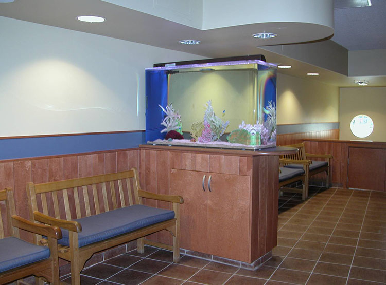 RFA Boston Veterinary Specialists (BVS) Dedham, MA