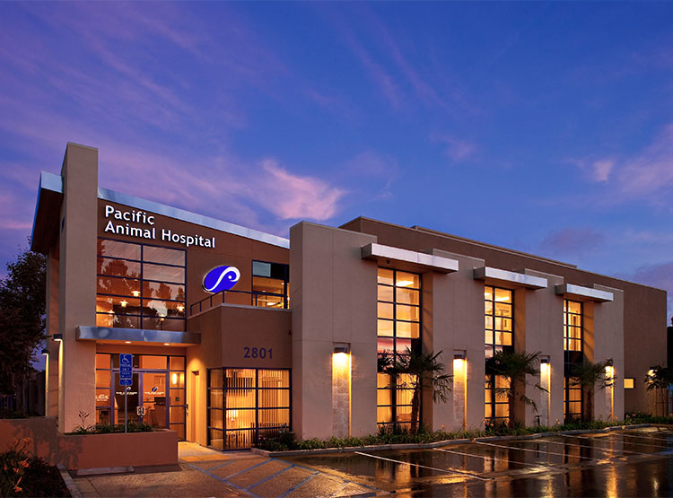 RFA Pacific Animal Hospital Oceanside, CA