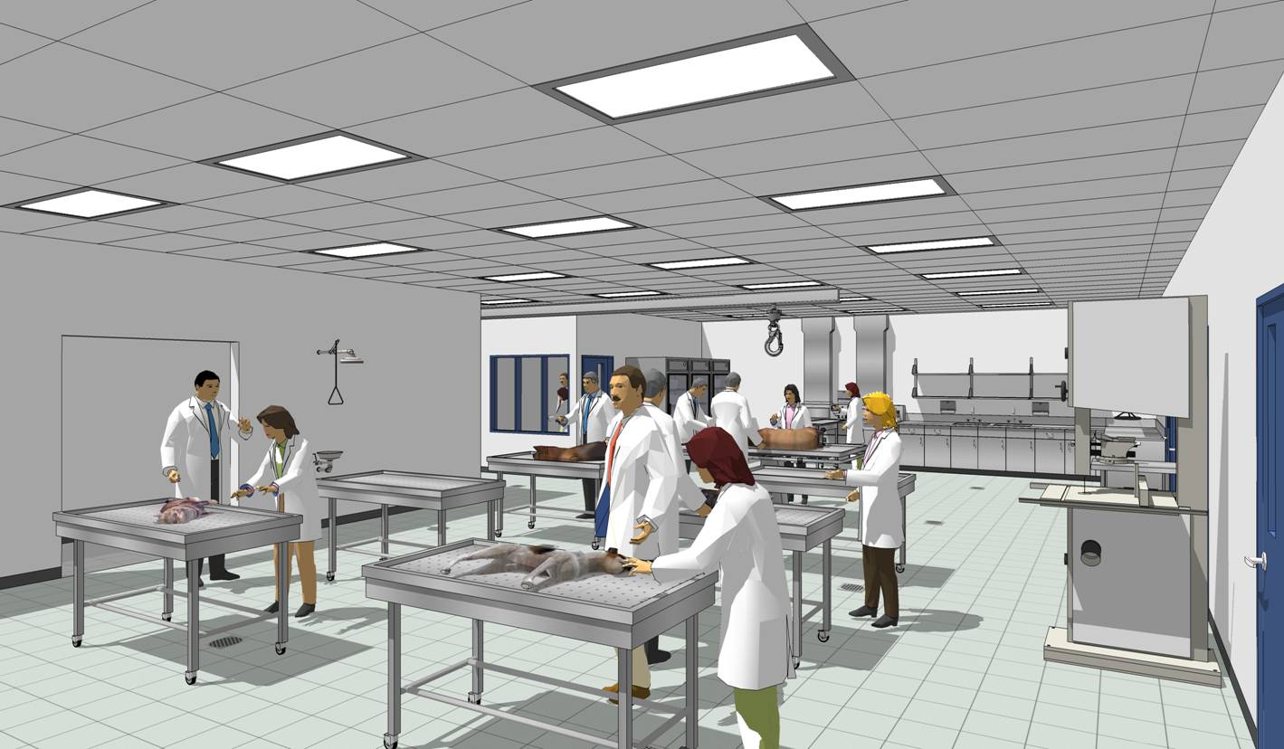 RFA Ross University School of Veterinary Medicine St. Kitts, The