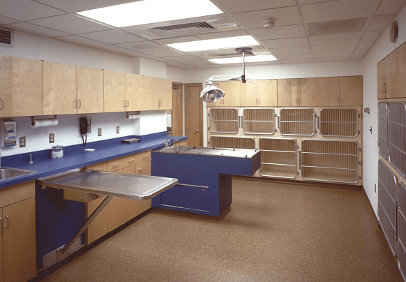RFA Companion Animal Clinic Allenstown, NH