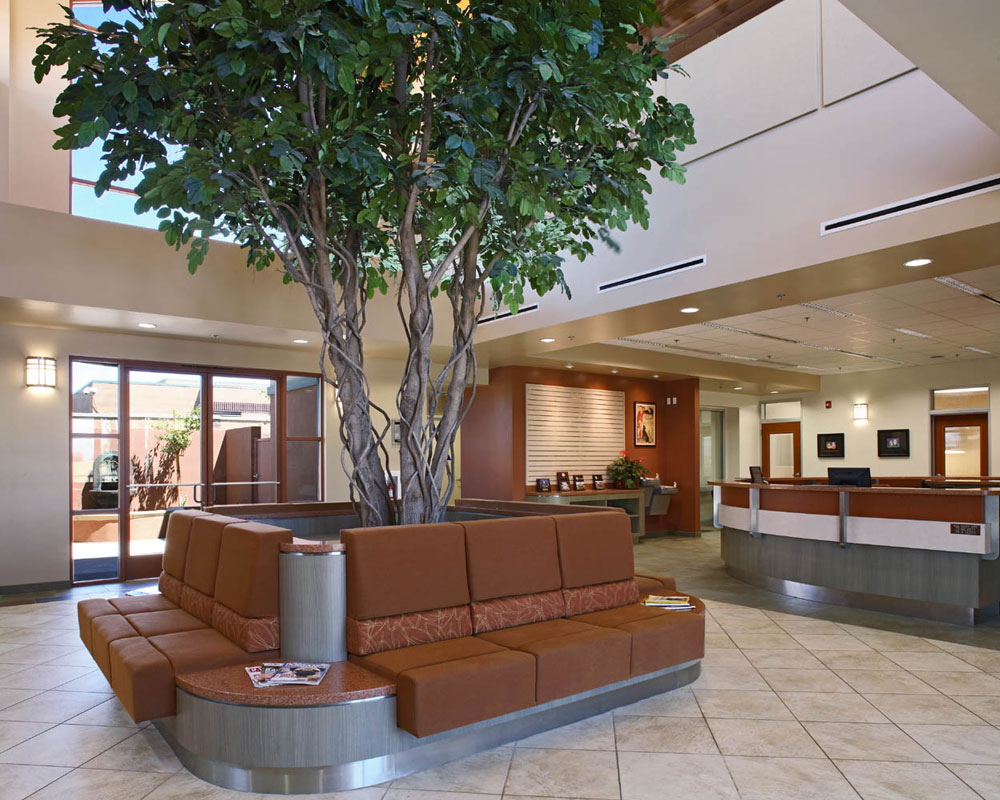 RFA VCA Bakersfield Veterinary Hospital Bakersfield, CA