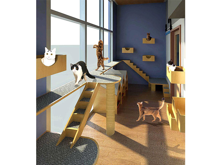 RFA Just Cats Clinic Reston, VA