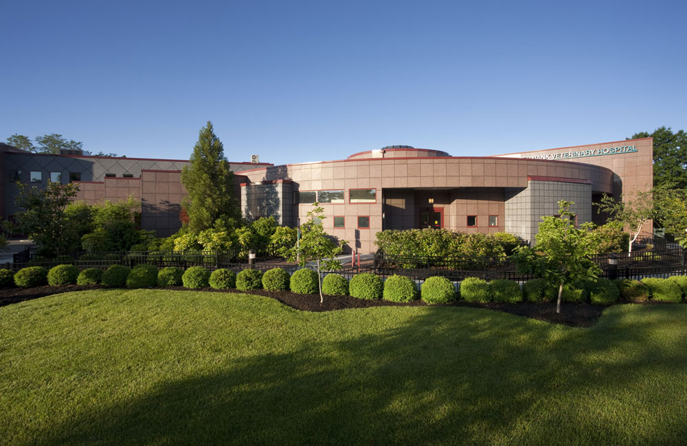 RFA Red Bank Veterinary Hospital Tinton Falls, NJ