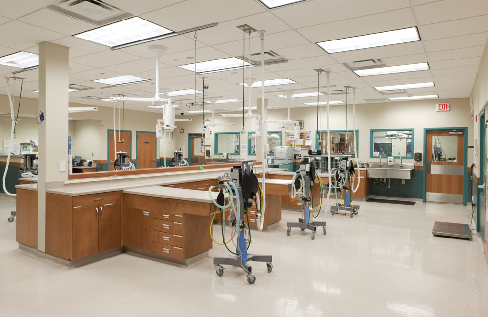 RFA Red Bank Veterinary Hospital Tinton Falls, NJ