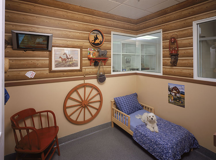 RFA VCA Yorba Regional Animal Hospital Anaheim, CA