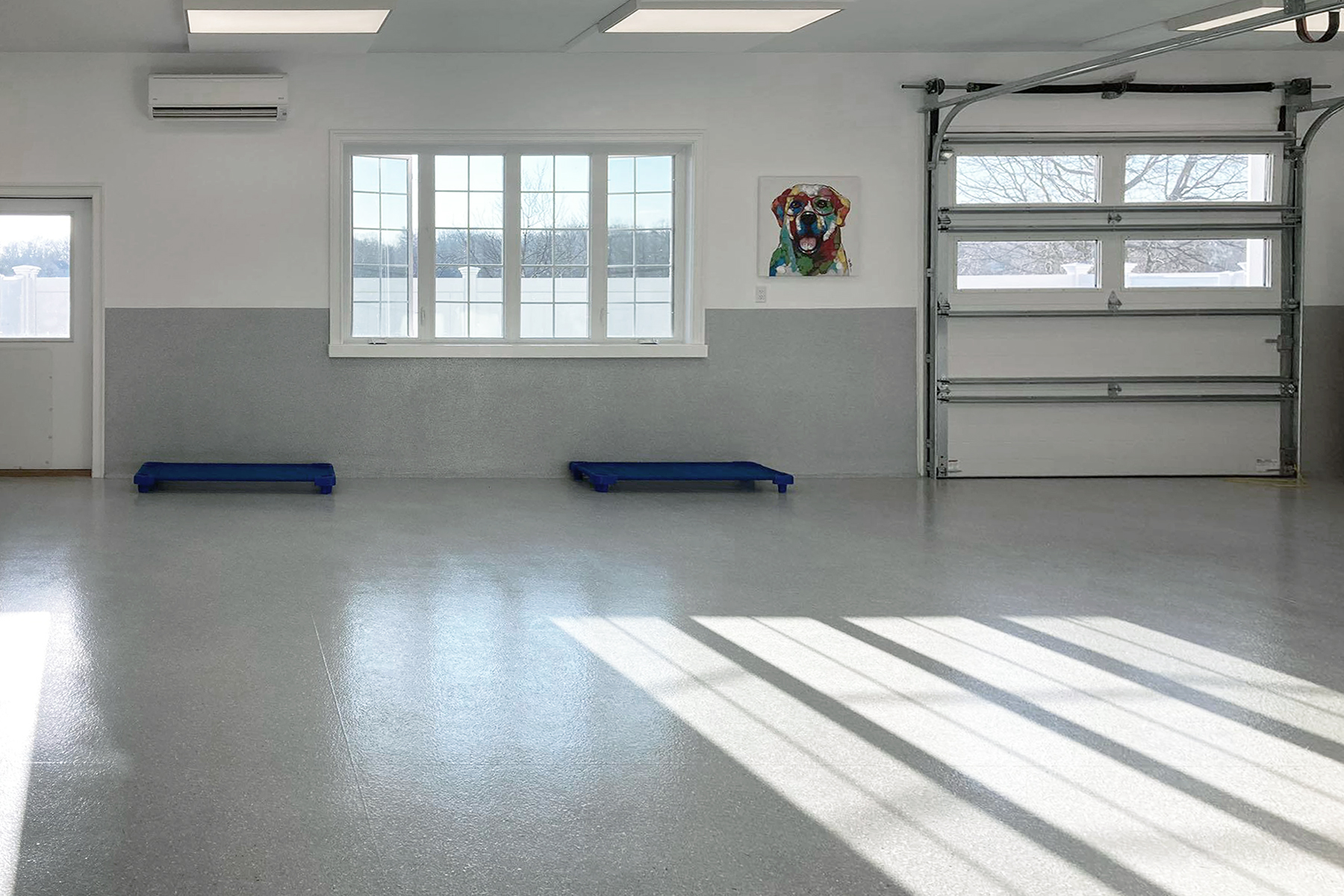 RFA | The Metro Pooch – Guilford, CT