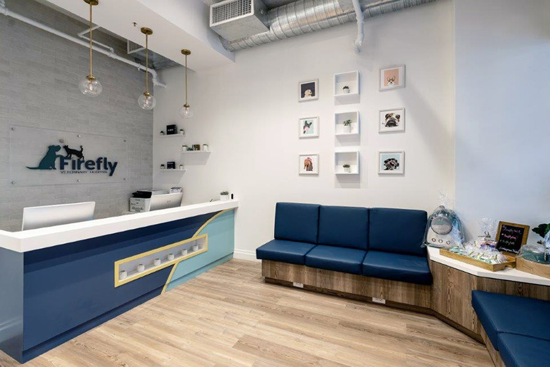 RFA Firefly Veterinary Hospital New York, NY