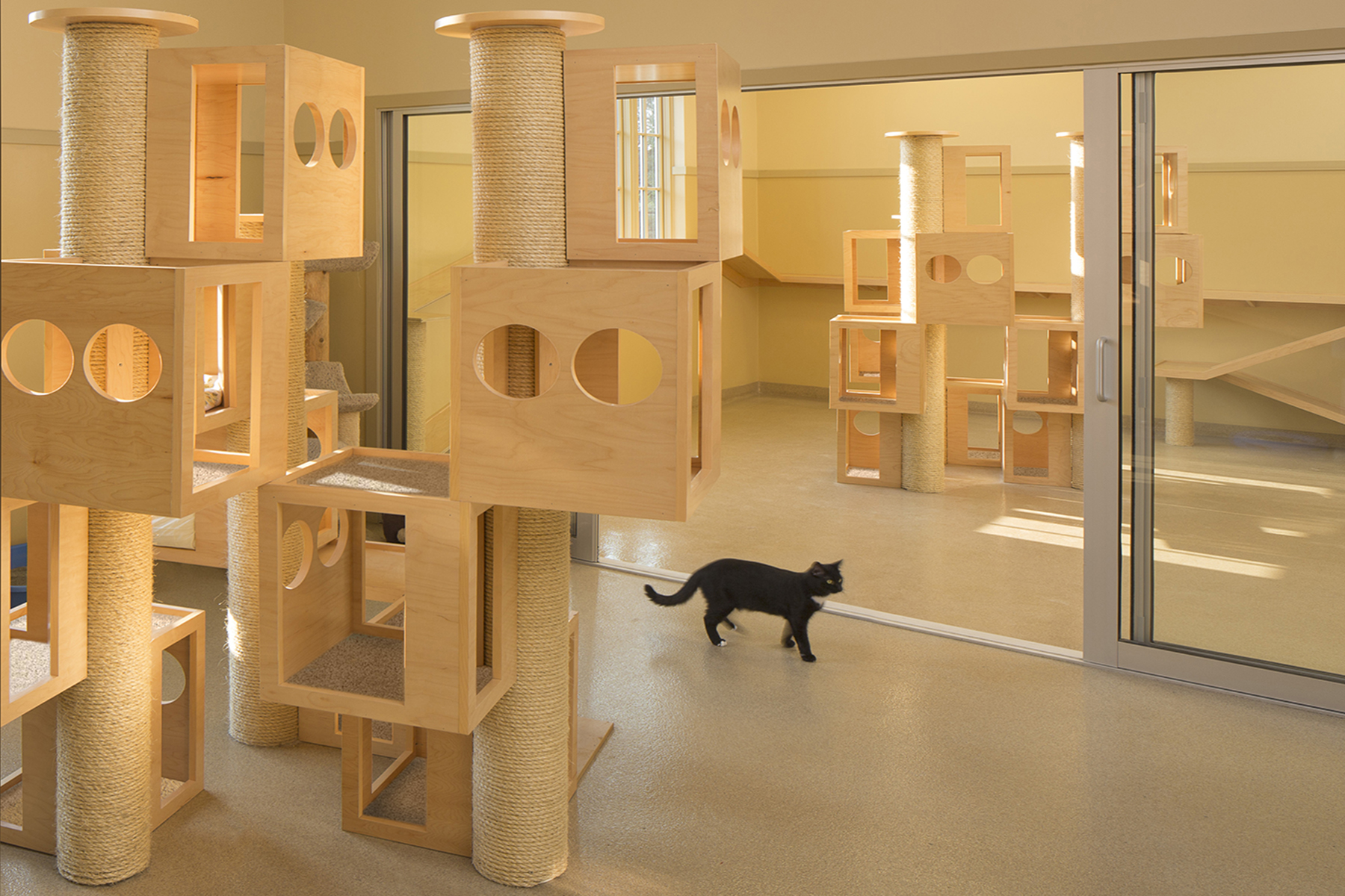 RFA Bristol Animal Shelter Bristol, RI