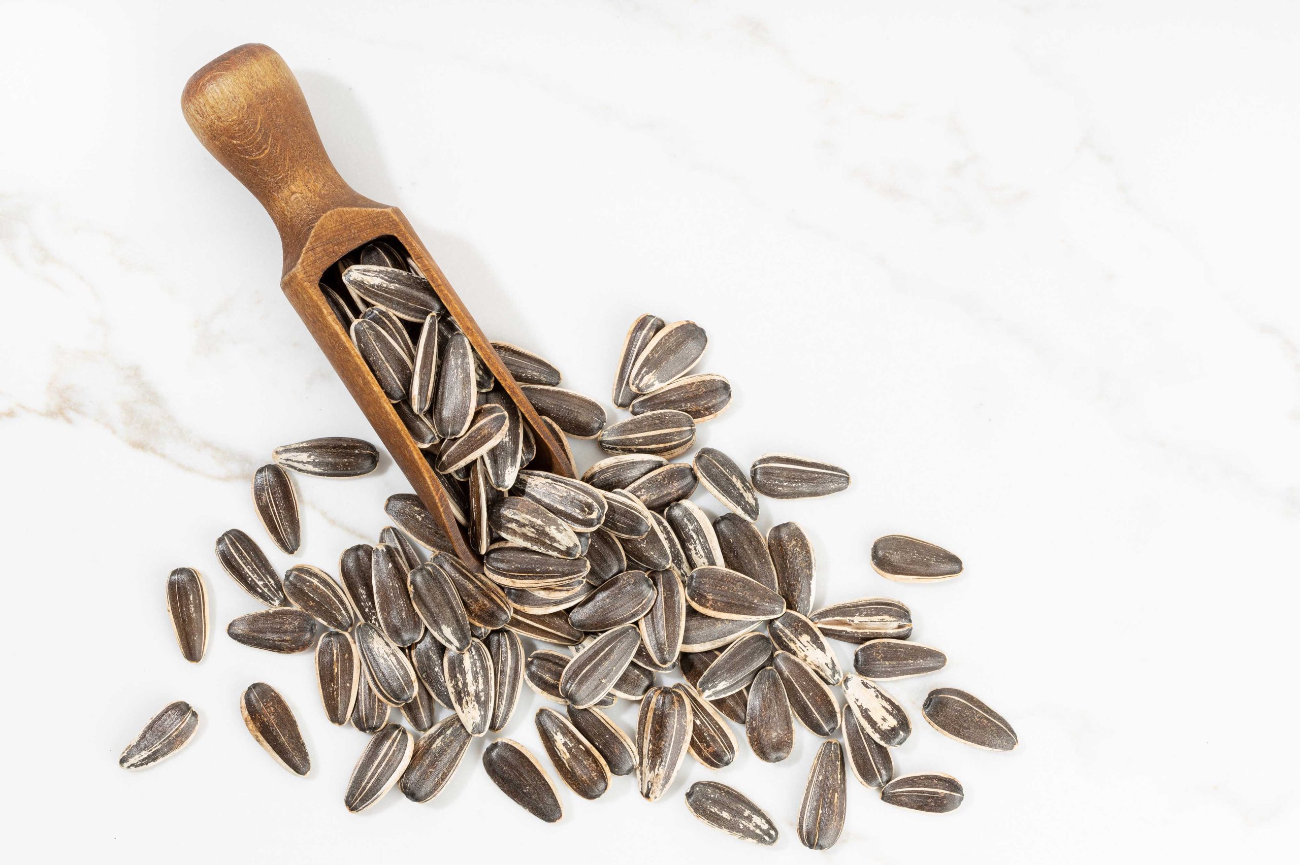 Regal Tasters Regal Foods PLC