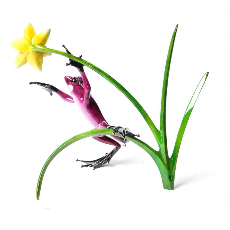 Daffodil by Tim Cotterill R Frogs Gallery