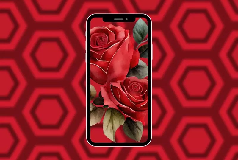 10 Best Nude OnlyFans Models in 2025: Top Nude Creators on OnlyFans