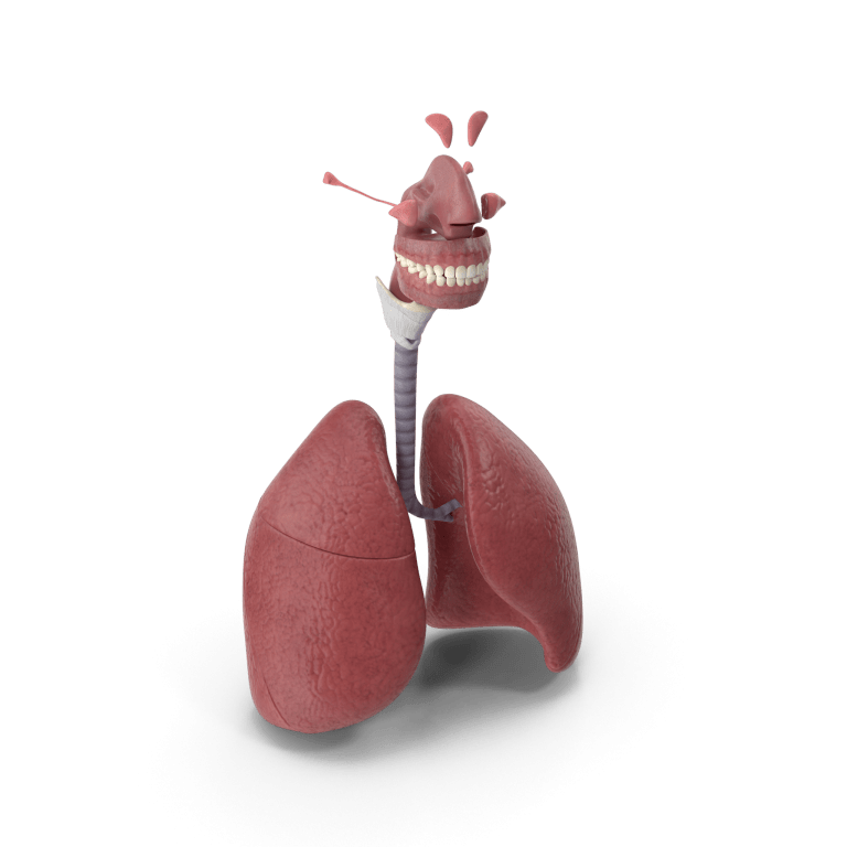 Dr McKenna Allergy Asthma Allergy and Asthma Clinic