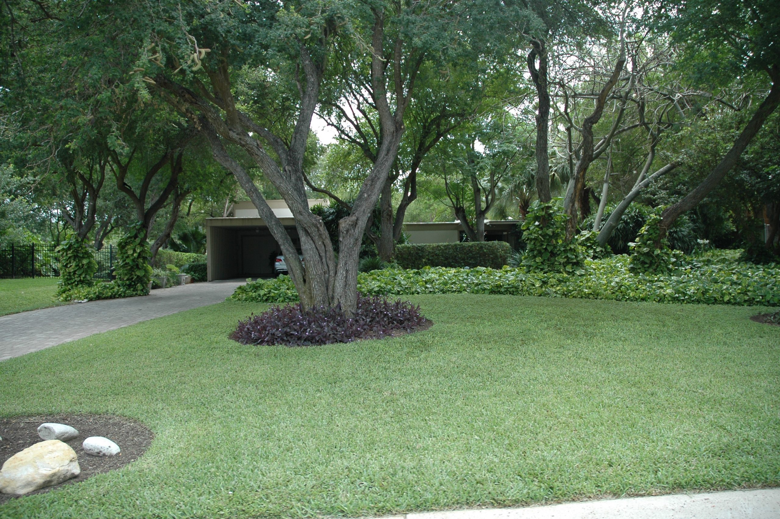 Modern in Harlingen RGVMOD