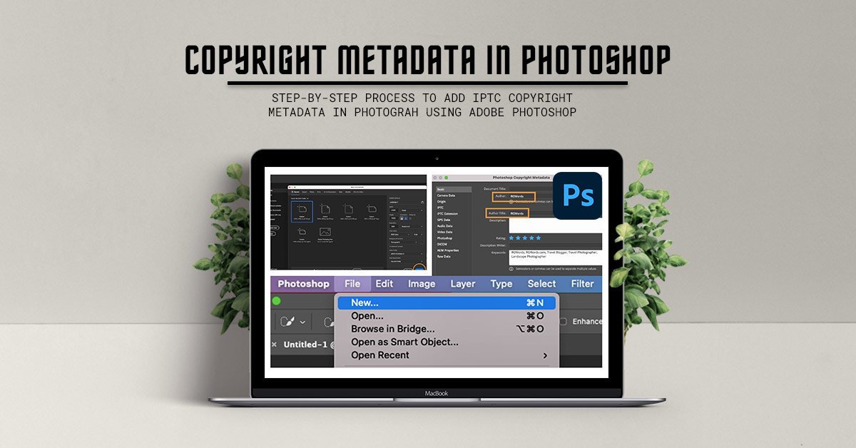How to Add IPTC Copyright Metadata in RGWords