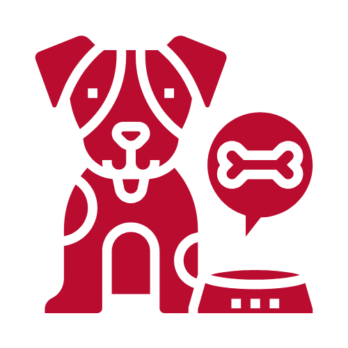 Dog Daycare • The Ruff House Dog Center