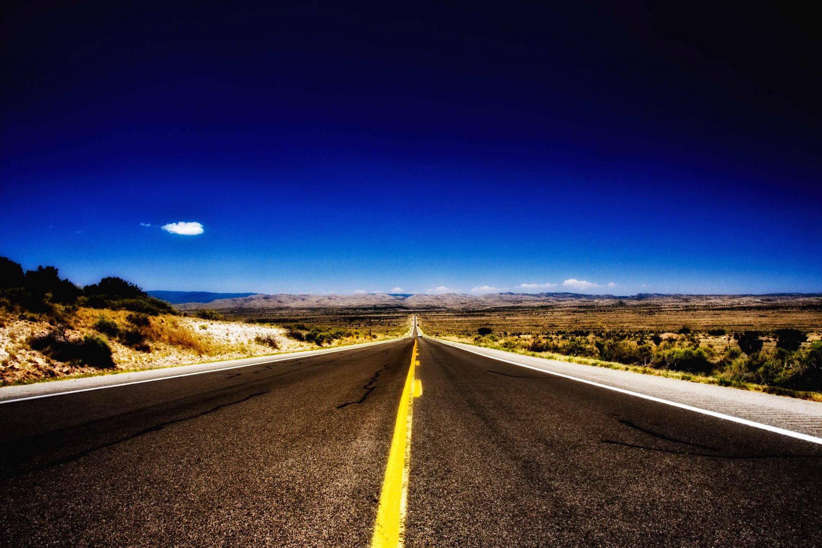 Family long drives rheapinto