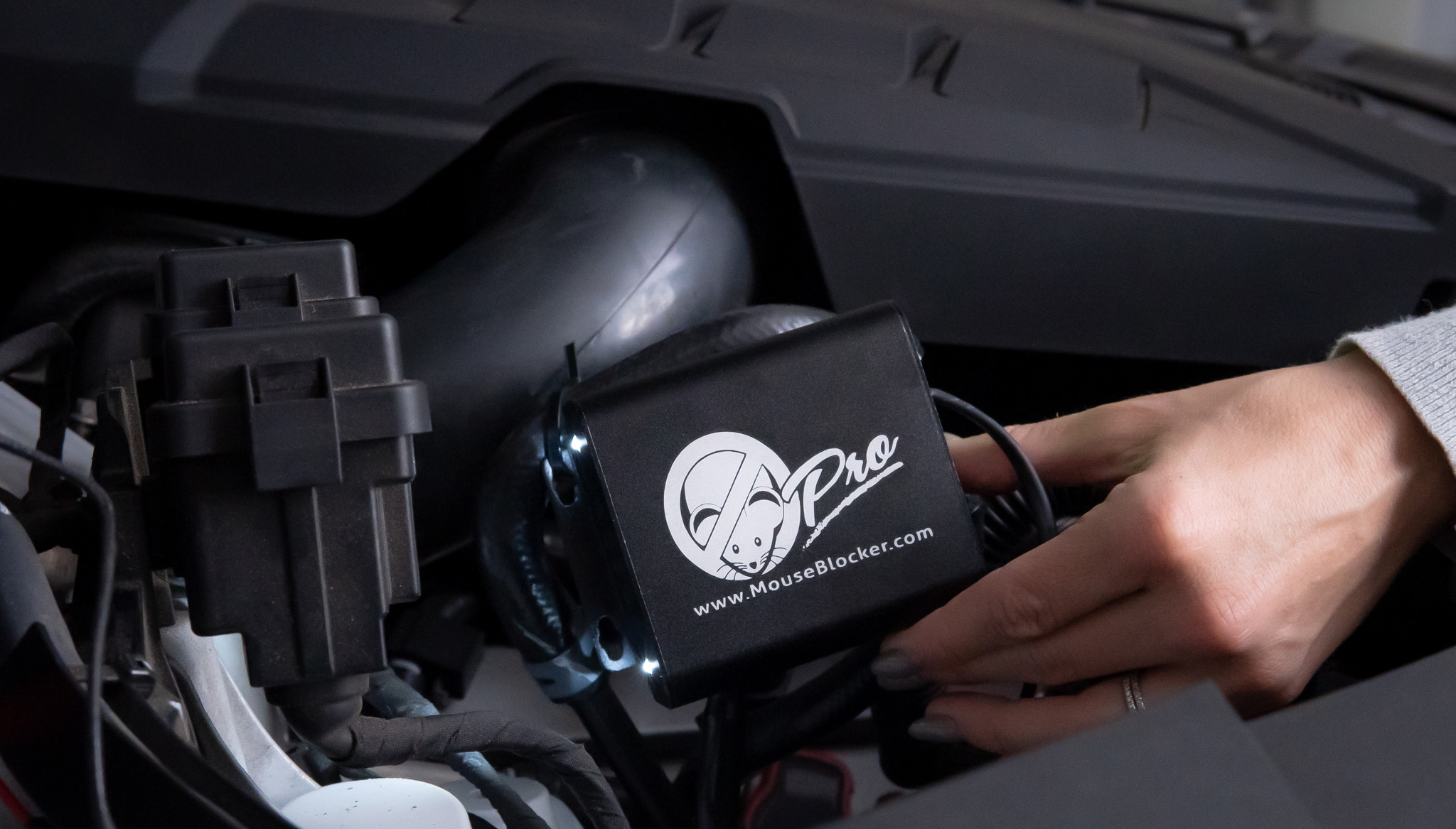 Mouse Blocker RH Fleet Services