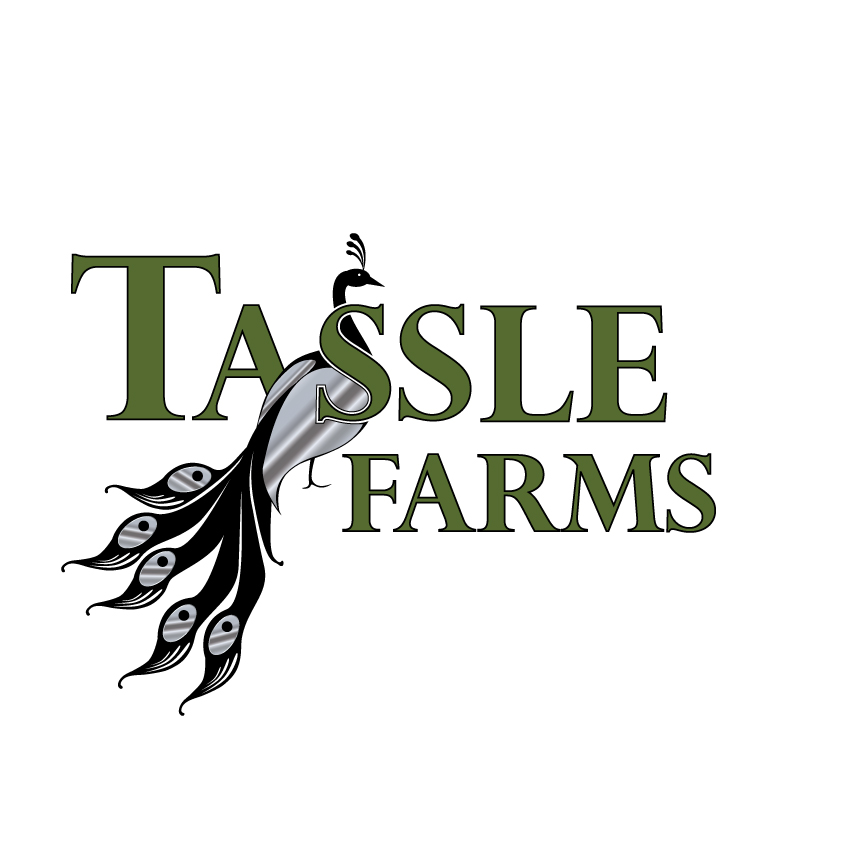 TASSEL FARMS LOGO RH Graphic Solutions