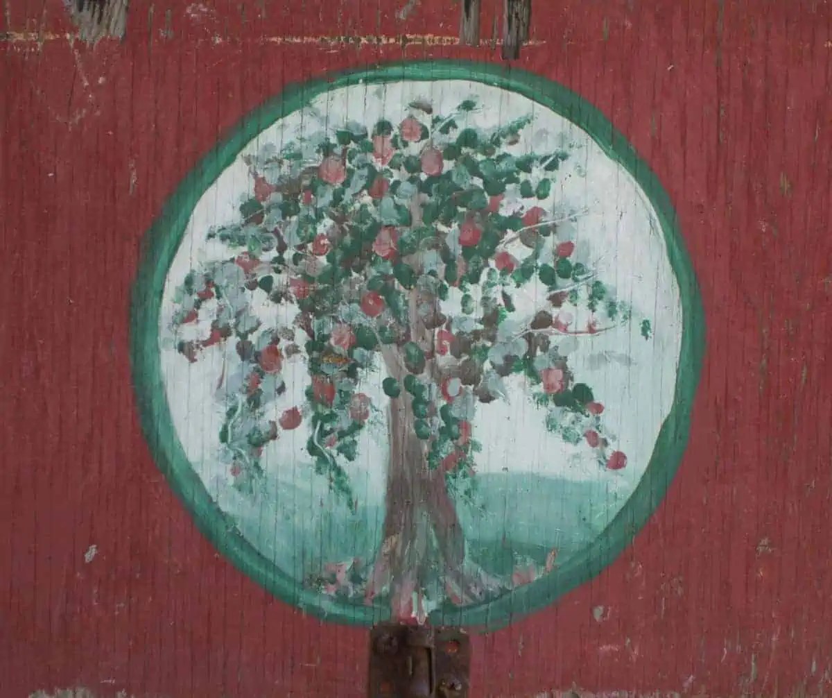 Orchard Photos Cedar Heights Orchard