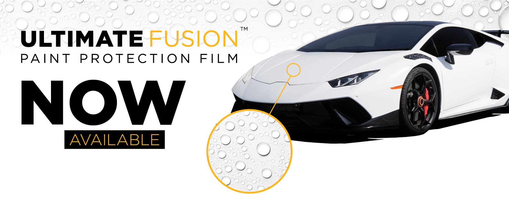 Paint Protection Films XPEL Installer Rhino Films & Detailing