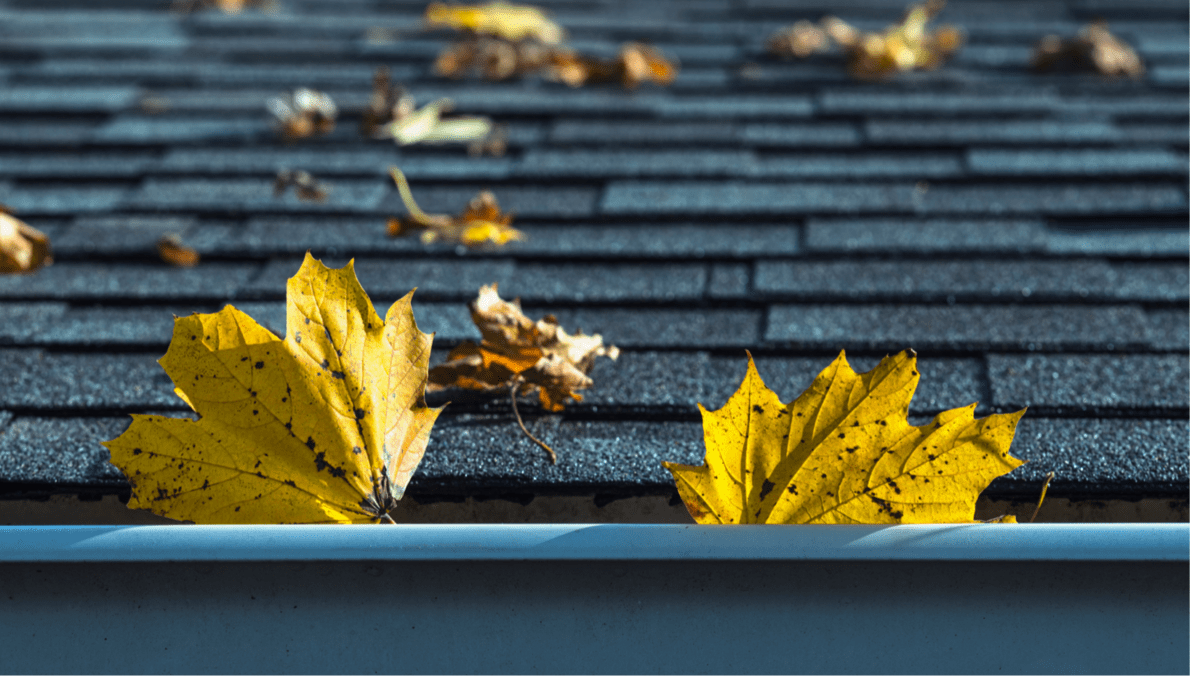 How To Prepare Your Commercial Roof for Fall Rhino Roofing