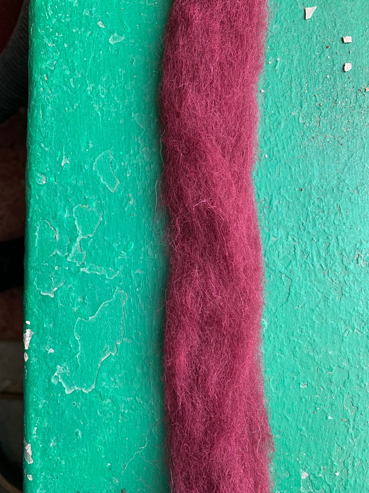 Drysdale Wool Characteristics at James Christensen blog