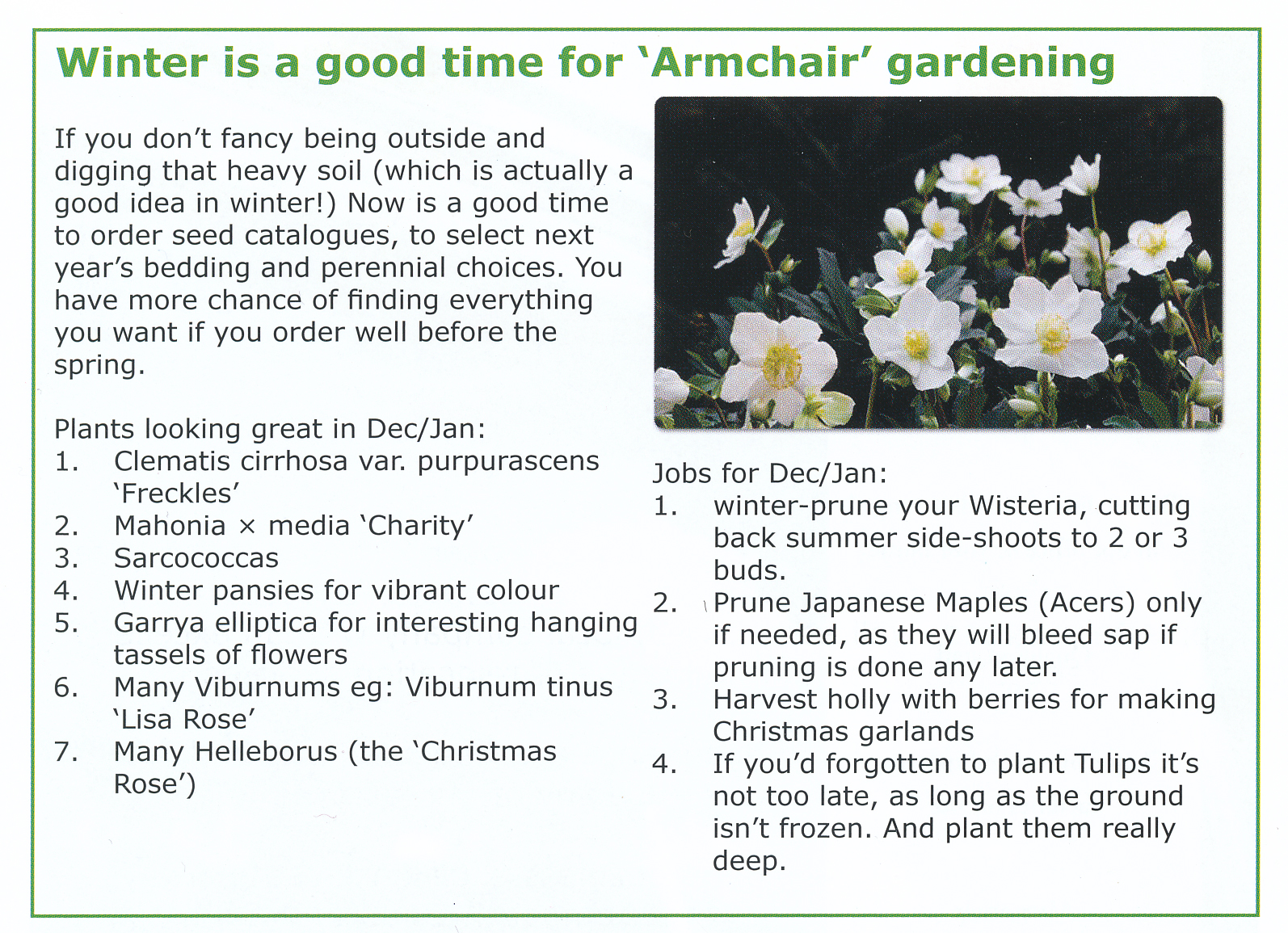 January Gardening What to do in the Garden Now