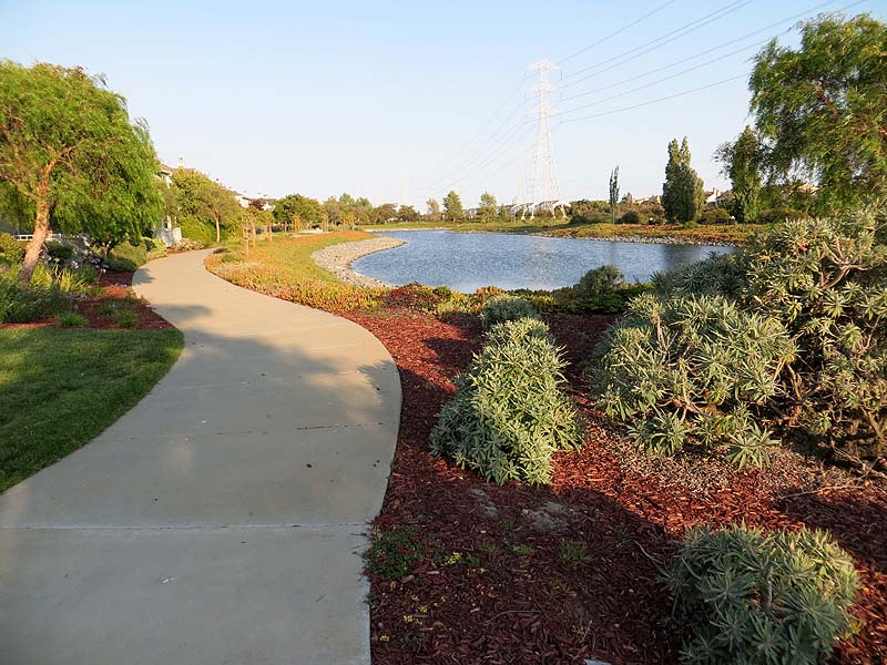 Redwood Shores Bay Trail