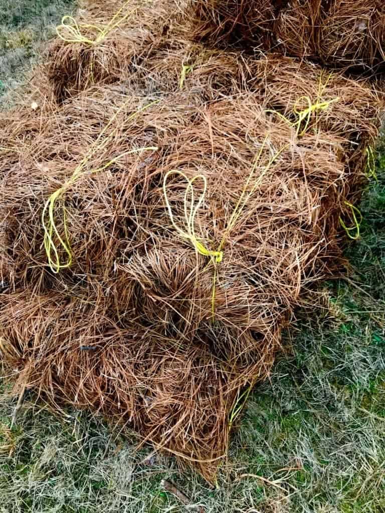 7 Things to Know About Pine Straw Mulch Rhythm of the Home