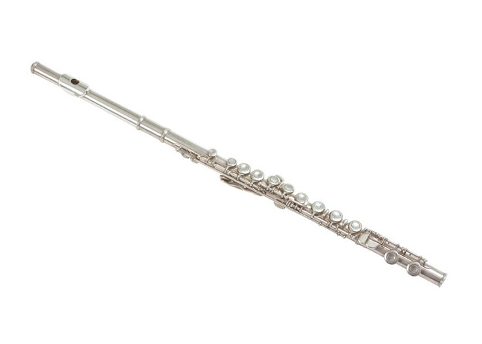 Flute Rental Rhythm Rox Music Rentals