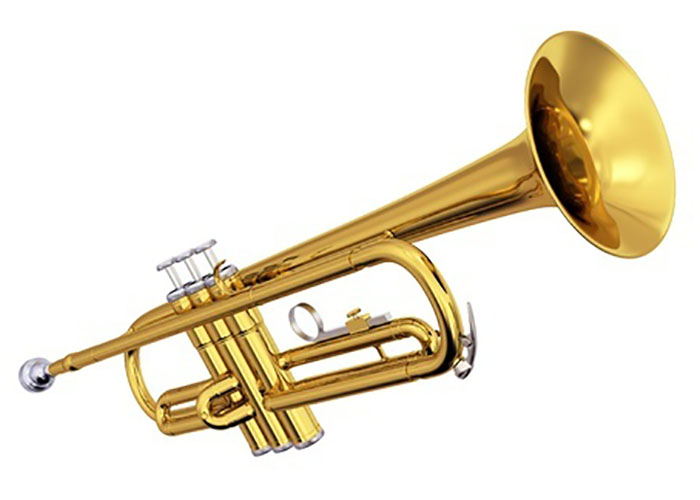 Trumpet Rental Rhythm Rox Music Rentals