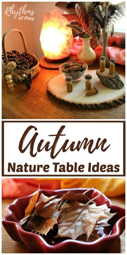 Fall Nature Table Ideas for Natural Learning Rhythms of Play