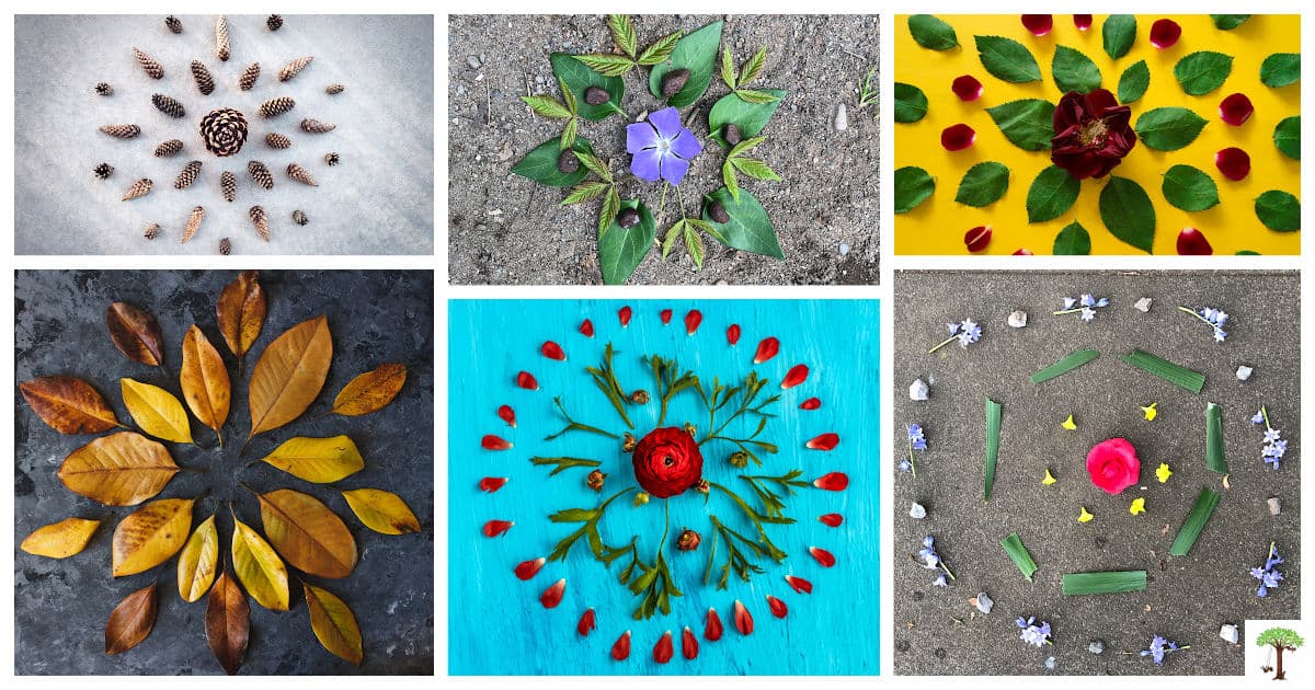 Nature Mandalas How to Make and Why Rhythms of Play